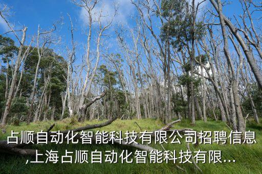 占順自動(dòng)化智能科技有限公司招聘信息,上海占順自動(dòng)化智能科技有限...