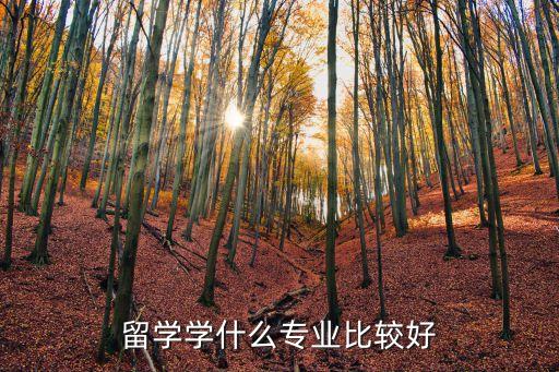 德國(guó)大學(xué)自動(dòng)化專(zhuān)業(yè)好嗎,德國(guó)自動(dòng)化專(zhuān)業(yè)