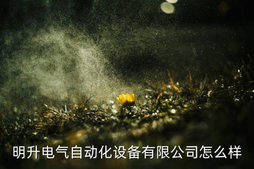 明升電氣自動(dòng)化設(shè)備有限公司怎么樣