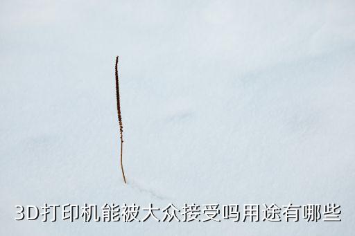 3D打印機能被大眾接受嗎用途有哪些