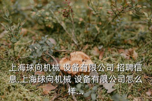 上海球向機械 設備有限公司 招聘信息,上海球向機械 設備有限公司怎么樣...