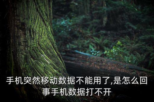 移動數(shù)據(jù)無法開啟,手機無法通過移動數(shù)據(jù)上網(wǎng)怎么辦?