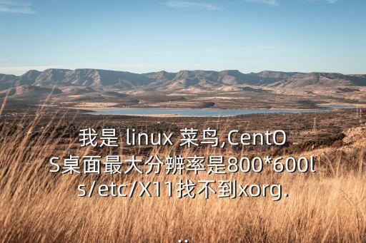 我是 linux 菜鳥,CentOS桌面最大分辨率是800*600ls/etc/X11找不到xorg...
