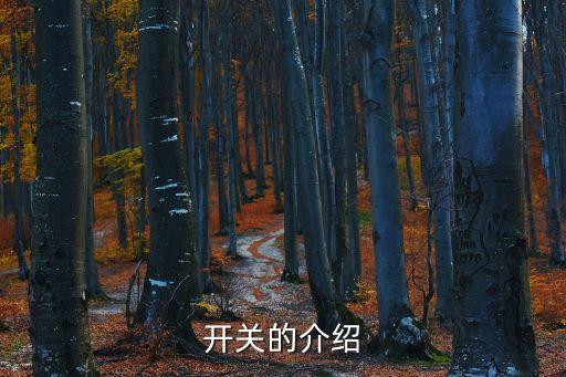 開(kāi)關(guān)的介紹