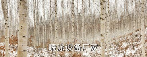 噴涂設(shè)備廠家