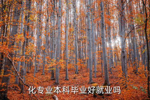 東華大學(xué)自動化專業(yè)的就業(yè),上海東華大學(xué)自動化就業(yè)前景