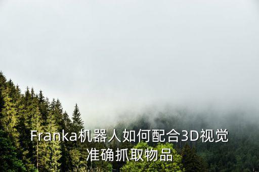 Franka機(jī)器人如何配合3D視覺(jué)準(zhǔn)確抓取物品