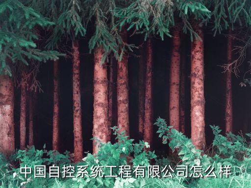 中國自控系統(tǒng)工程有限公司怎么樣