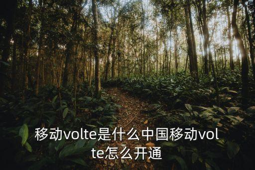 移動(dòng)開(kāi)通語(yǔ)音和數(shù)據(jù),蘋(píng)果6p蜂窩移動(dòng)數(shù)據(jù)變語(yǔ)音與數(shù)據(jù)?