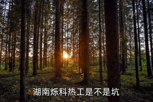 湖北窯爐自動化設備,工業(yè)窯爐、工業(yè)自動化設備的銷售。