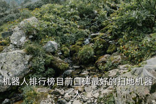 機(jī)器人排行榜目前口碑最好的掃地機(jī)器人
