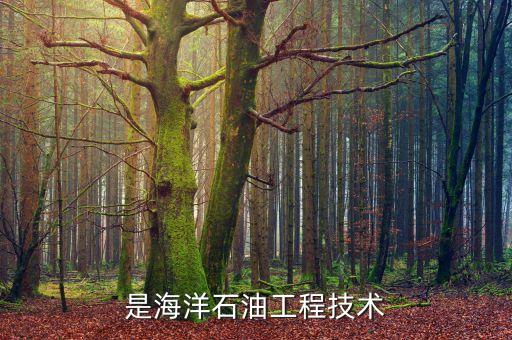 海南自動(dòng)化收集海上溢油設(shè)備,海上石油生產(chǎn)設(shè)備