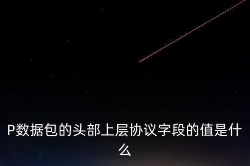P數(shù)據(jù)包的頭部上層協(xié)議字段的值是什么