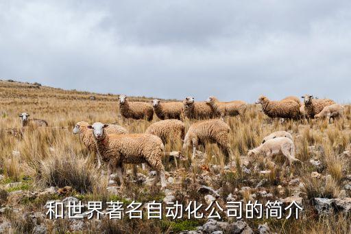 自動化設備公司調試,十大自動化設備公司