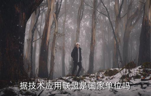 據技術應用聯(lián)盟是國家單位嗎