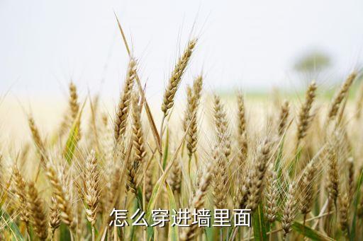 怎么穿進(jìn)墻里面
