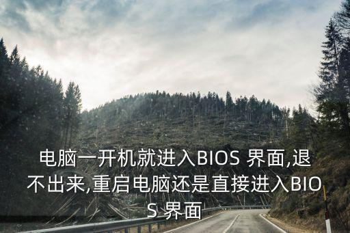 電腦一開機就進入BIOS 界面,退不出來,重啟電腦還是直接進入BIOS 界面