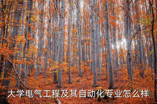 大學(xué)電氣工程及其自動化專業(yè)怎么樣