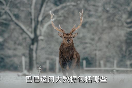 數(shù)據(jù)分析 阿里巴巴,阿里巴巴的數(shù)據(jù)分析