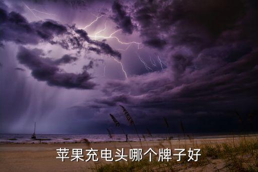 蘋果充電頭哪個牌子好