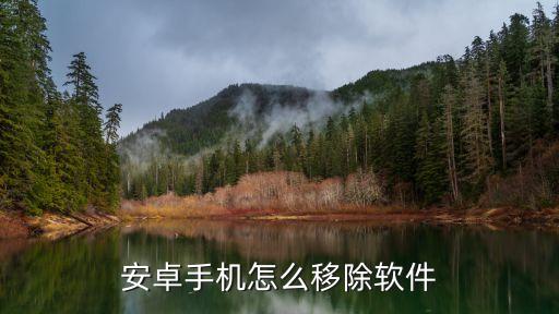 清除安卓應(yīng)用數(shù)據(jù),如何清除手機上某一應(yīng)用的數(shù)據(jù)?
