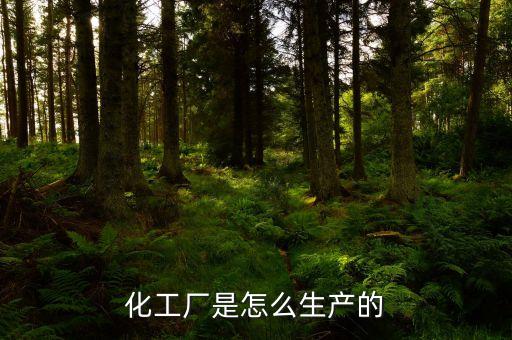 五金廠自動化設(shè)備生產(chǎn),自動化設(shè)備生產(chǎn)公司