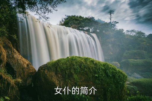 女仆機(jī)器人番,冒險(xiǎn)島女仆機(jī)器人