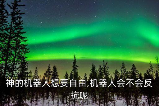 多愁善感的機(jī)器人,描述機(jī)器人的詞語(yǔ)