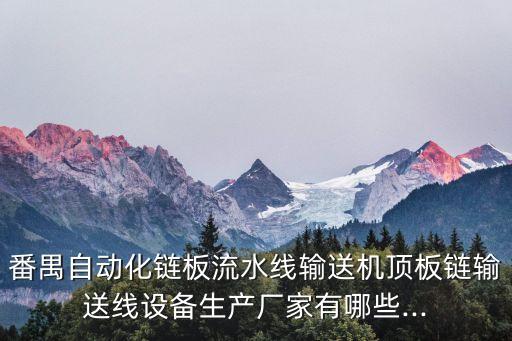 番禺自動(dòng)化鏈板流水線輸送機(jī)頂板鏈輸送線設(shè)備生產(chǎn)廠家有哪些...