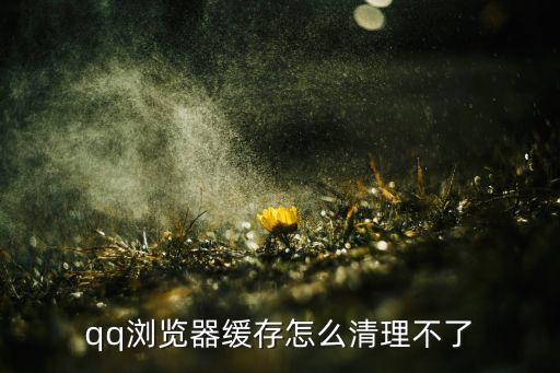 手機(jī)qq瀏覽器 無法清除數(shù)據(jù),qq瀏覽器無法清除所有數(shù)據(jù)