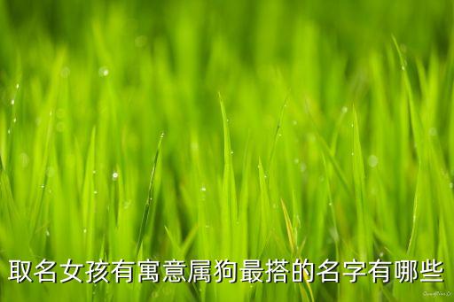 薈凝自動化有限公司,深圳薈凝自動化有限公司