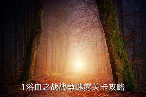 1浴血之戰(zhàn)戰(zhàn)爭迷霧關卡攻略