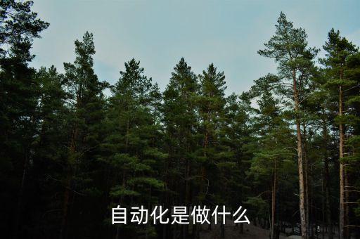 自動化是做什么