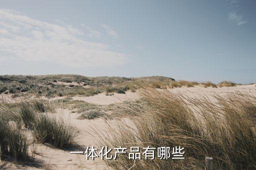 中山電機(jī)自動(dòng)化設(shè)備有哪些,自動(dòng)化設(shè)備電機(jī)品牌
