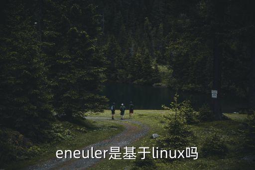 eneuler是基于linux嗎