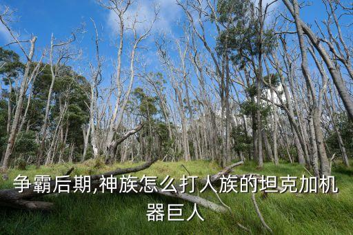 星際爭(zhēng)霸人族基地機(jī)器人,1.15星際人族基地翻譯