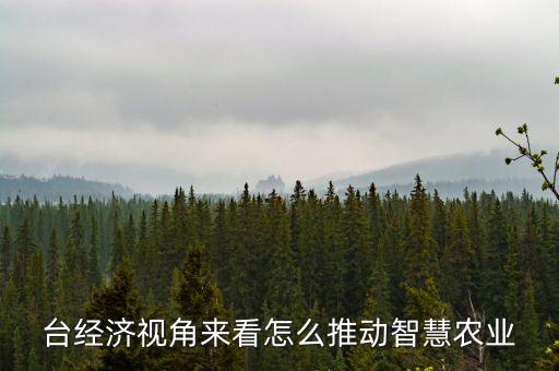 臺經(jīng)濟視角來看怎么推動智慧農(nóng)業(yè)
