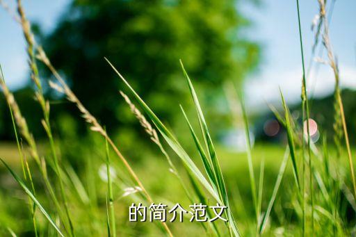 自動化轉(zhuǎn)運公司簡介范文,公司簡介模型