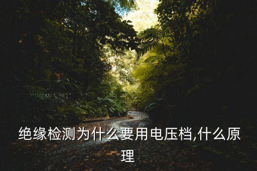 絕緣檢測,絕緣檢測儀操作規(guī)程:先放置絕緣線和電源插孔