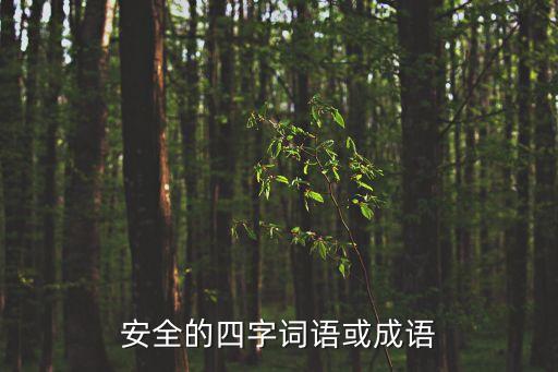 安全的四字詞語(yǔ)或成語(yǔ)