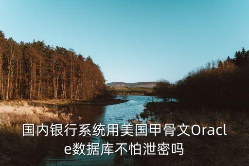 國(guó)內(nèi)銀行系統(tǒng)用美國(guó)甲骨文Oracle數(shù)據(jù)庫(kù)不怕泄密嗎