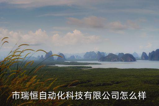 銳新科技自動(dòng)化設(shè)備怎么樣,合肥蔡彤智能科技集團(tuán)怎么樣?