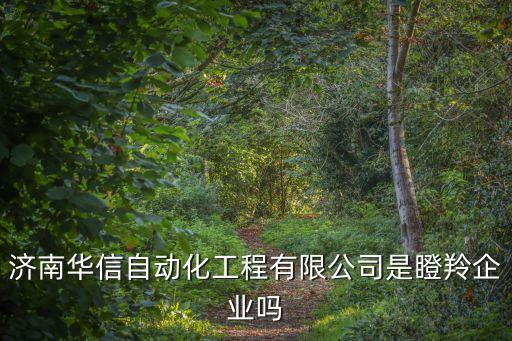 濟南華信自動化工程有限公司是瞪羚企業(yè)嗎
