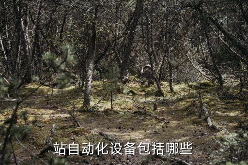 無能耗自動化輸送設(shè)備,輸送機(jī)自動輸送設(shè)備