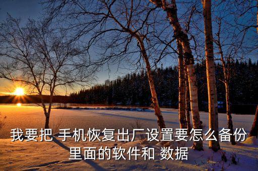 我要把 手機(jī)恢復(fù)出廠設(shè)置要怎么備份里面的軟件和 數(shù)據(jù)