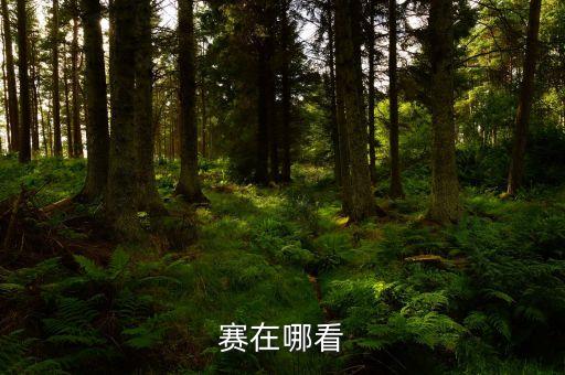 機器人辯論視頻下載,視頻下載機器人2