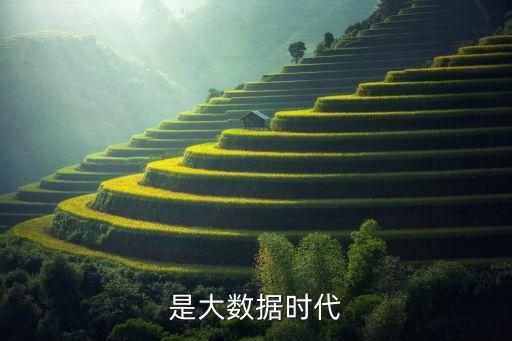 《大數(shù)據(jù)時代》,大數(shù)據(jù)時代定義