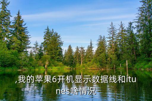 蘋果六顯示數(shù)據(jù)線和ituns,萌寶對穆少沖的老婆視若生命