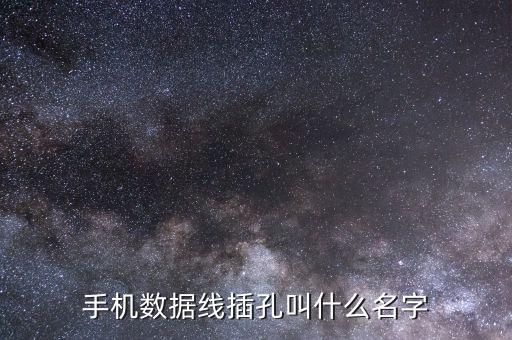 手機(jī)數(shù)據(jù)線插孔叫什么名字