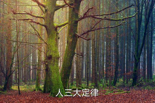 某場有四臺大型機器人,機器人三定律